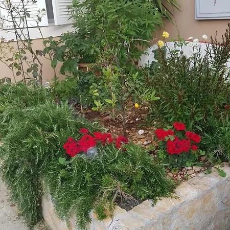 Katarina Apartman Sutivan