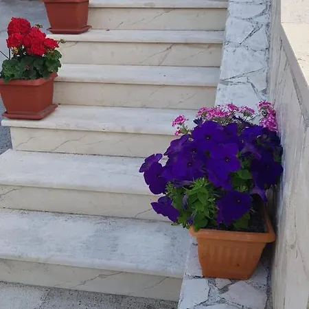 Apartman Katarina *